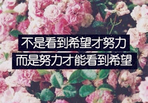 贊美書的詩句和名言