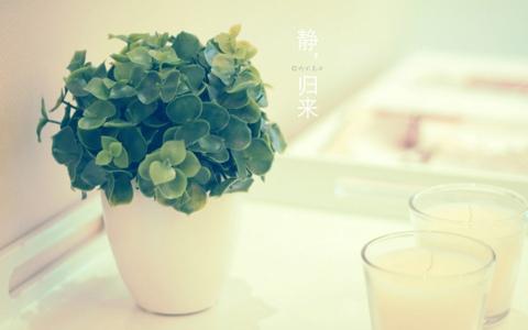 不一樣的數(shù)學(xué)讀后感